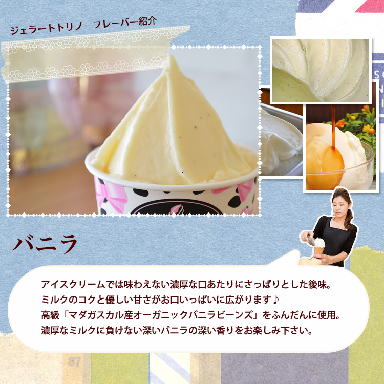 バニラ ジェラート6個セット | ジェラート トリノ